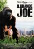 Il Grande Joe