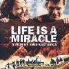 Life is a Miracle